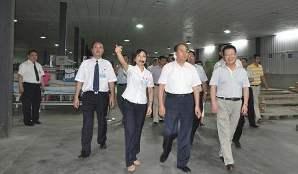 原副省长现资政郑小明及省药监局局长胡小平莅临UG环球官网物流视察